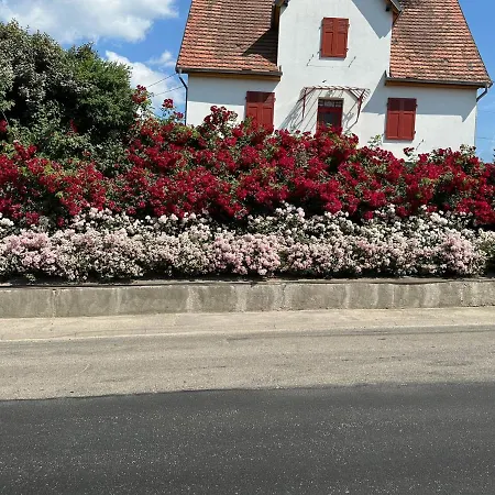 Au Parfum Des Roses Apartment Gunstett Exterior photo