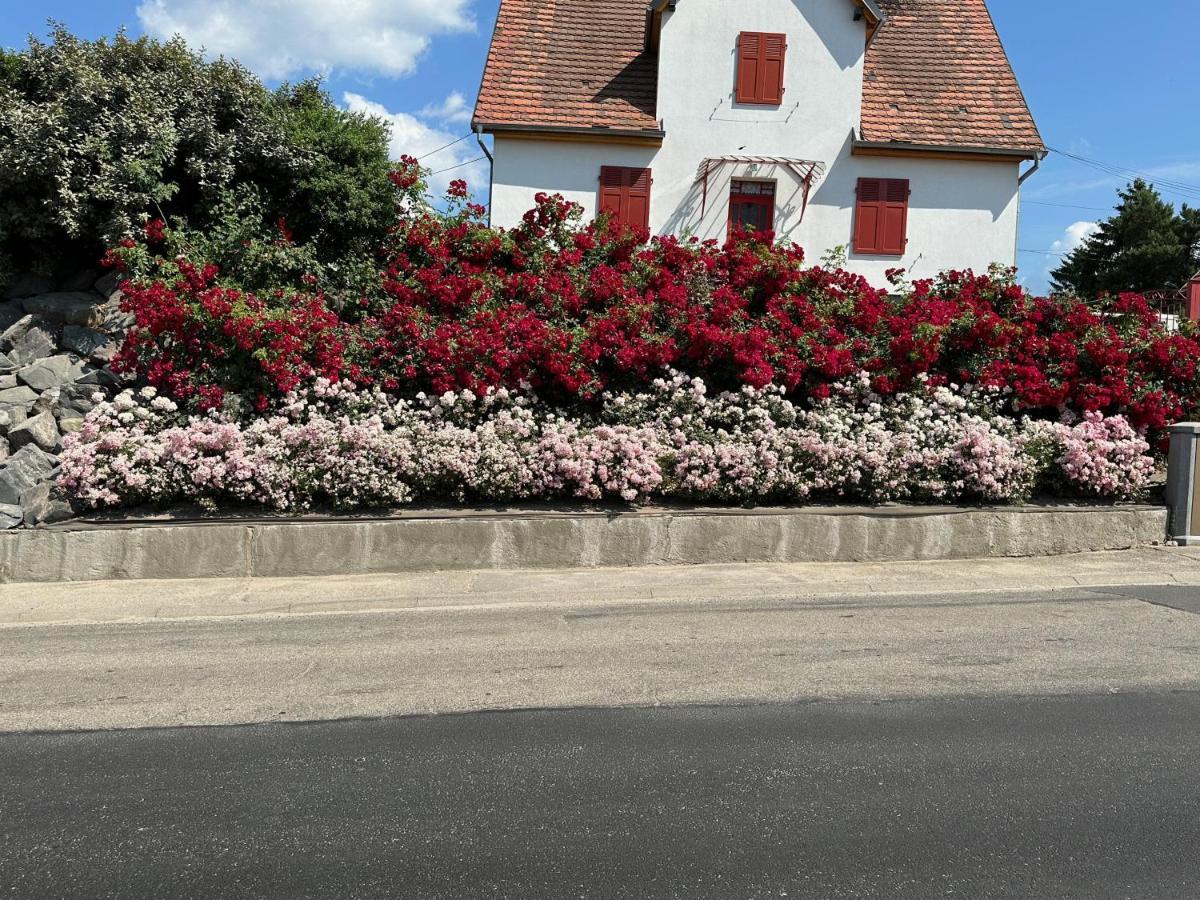 Au Parfum Des Roses *