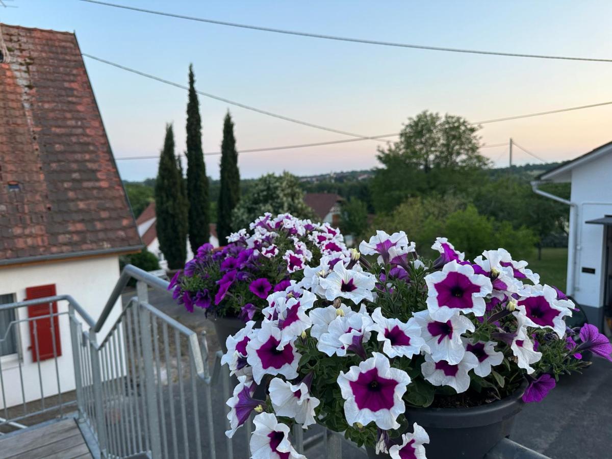 Au Parfum Des Roses Apartment Gunstett